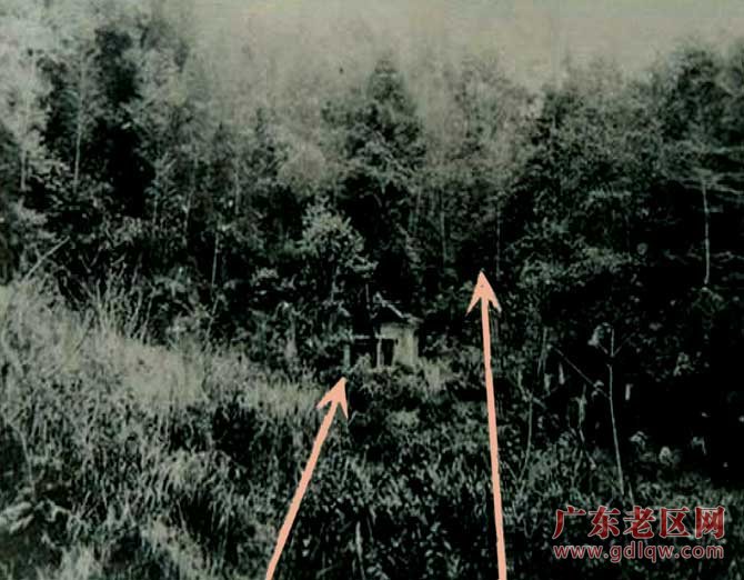 图片说明