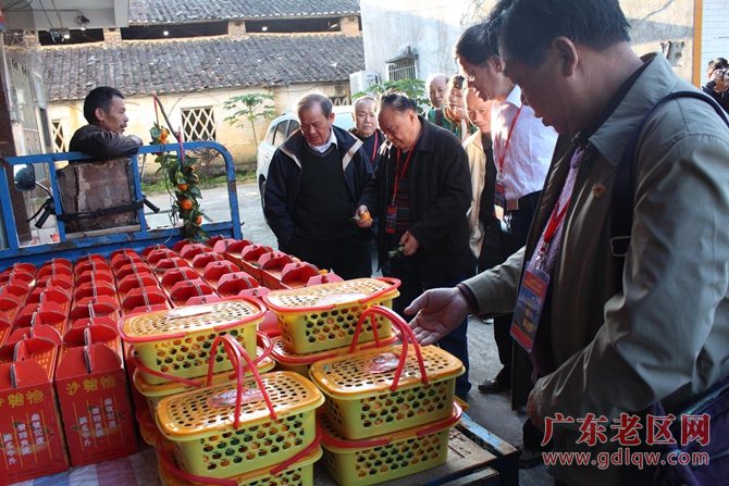 图片说明