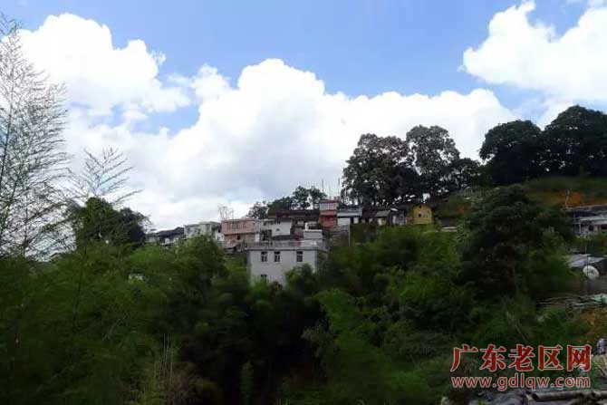 图片说明