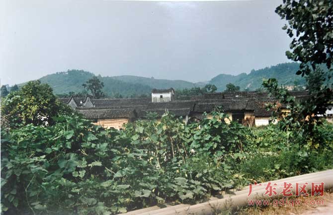 图片说明