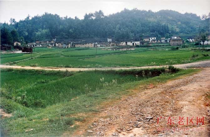 图片说明