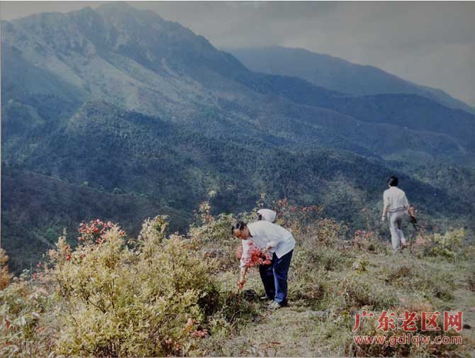 图片说明