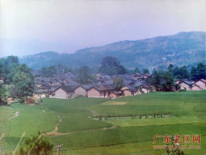 图片说明