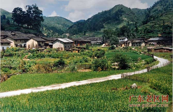 图片说明