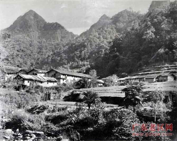 图片说明
