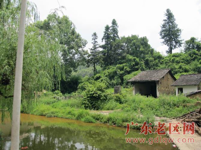 图片说明