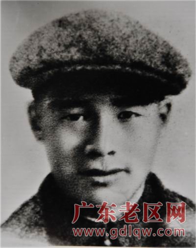 图片说明