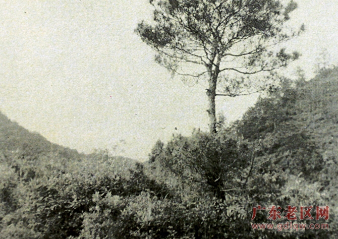 图片说明