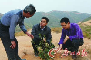图片说明