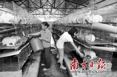 图片说明