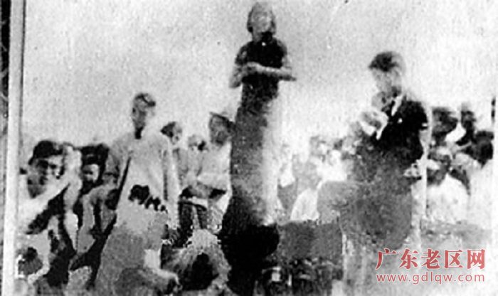 图片说明