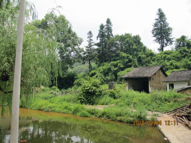 图片说明