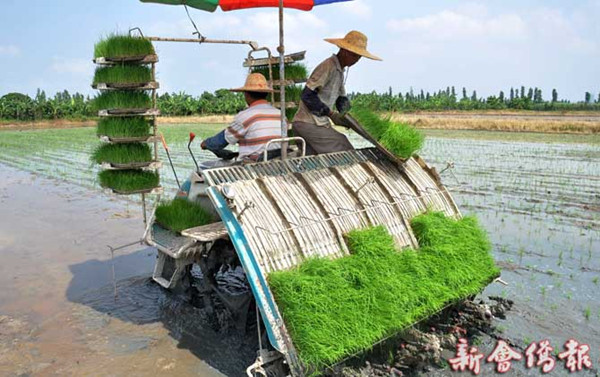 图片说明