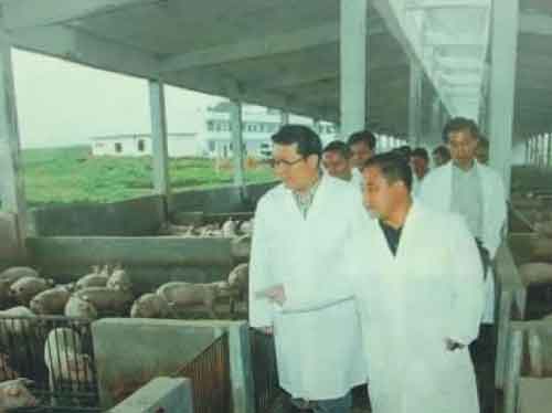 图片说明