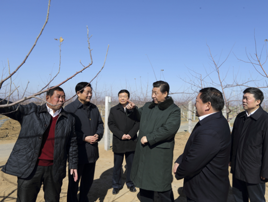图片说明