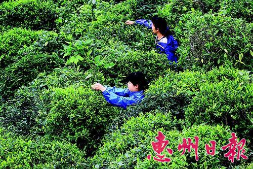 图片说明
