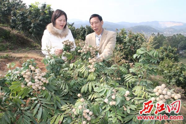 图片说明
