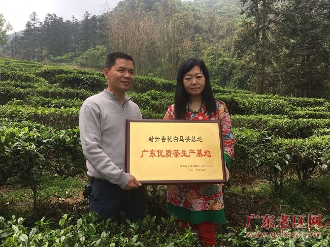 图片说明