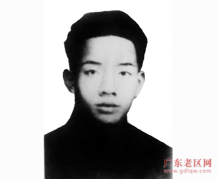 图片说明