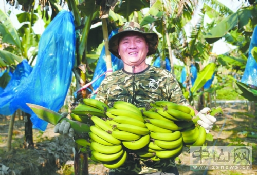 图片说明
