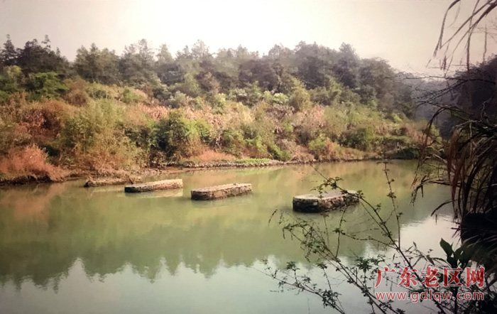 图片说明