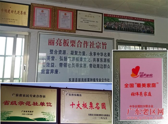 图片说明