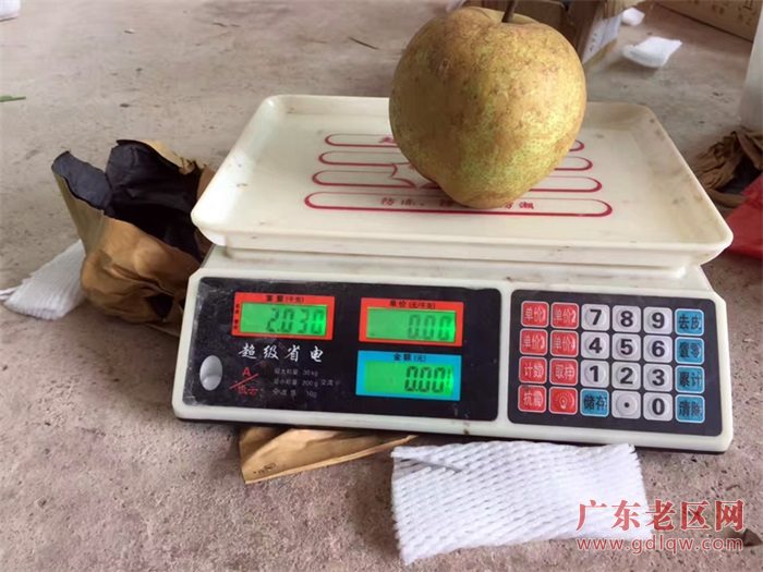 图片说明