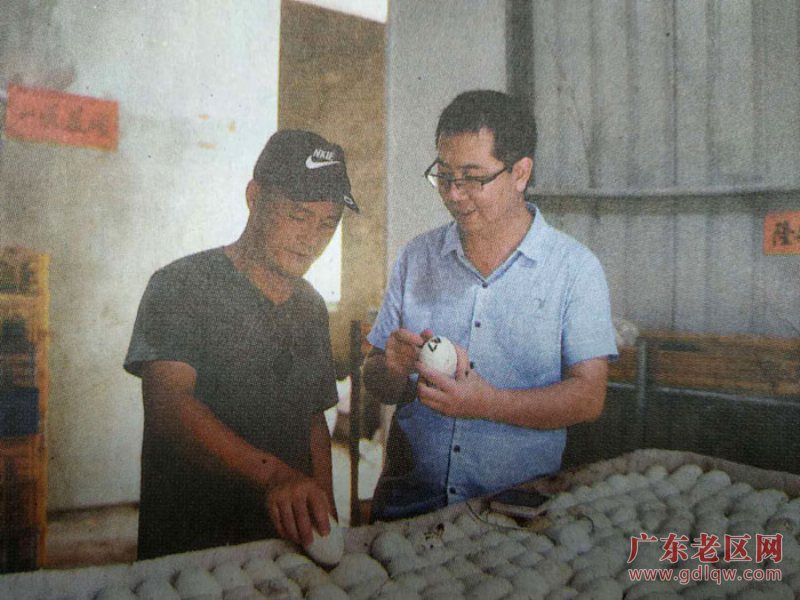 图片说明
