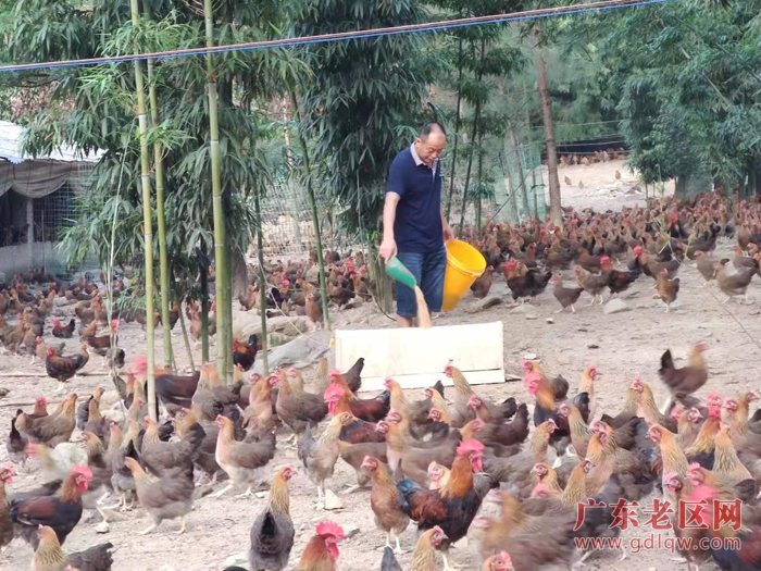 图片说明