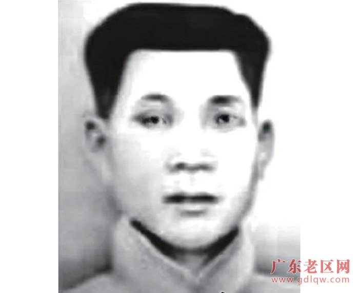 图片说明