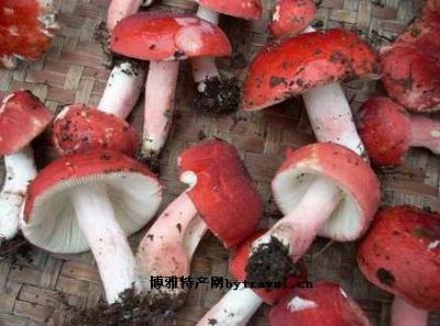 图片说明