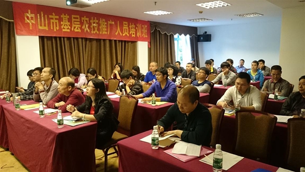 图片说明