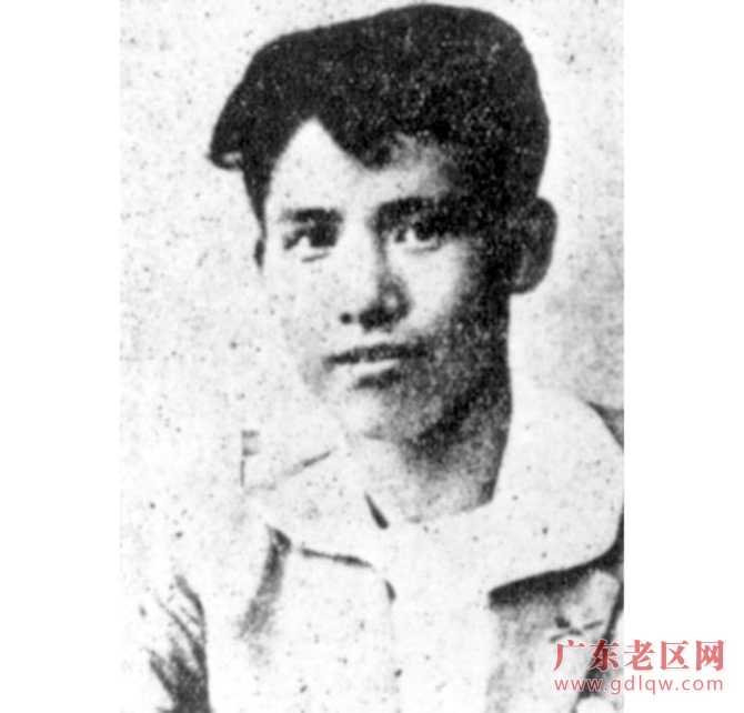 图片说明