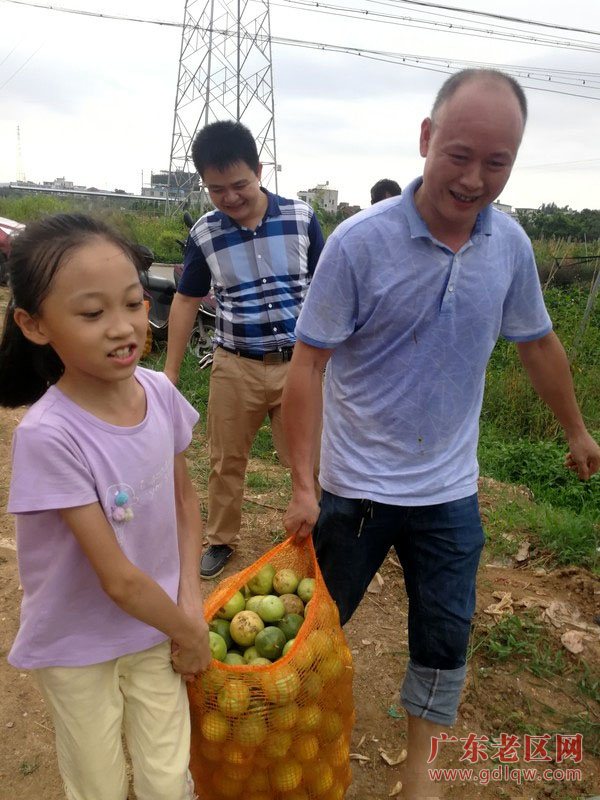 图片说明