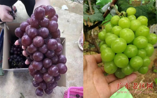 图片说明