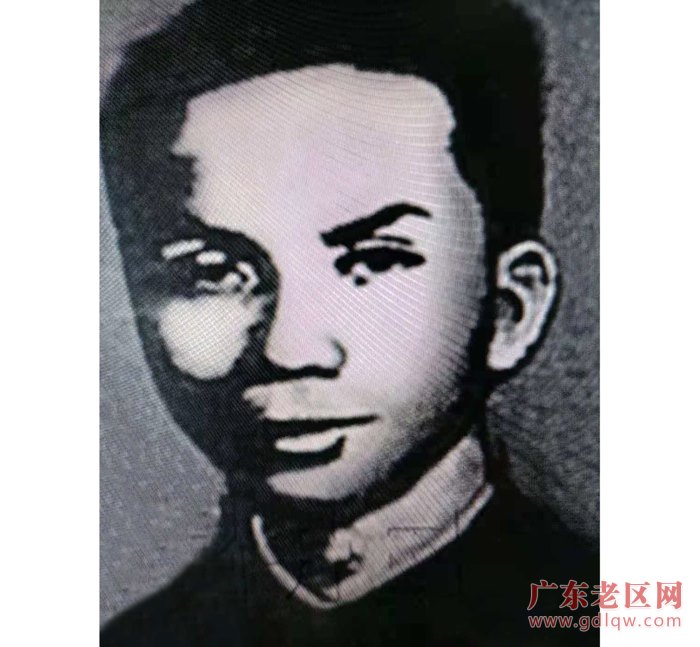 图片说明