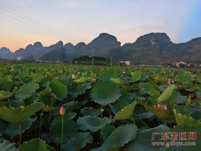 图片说明