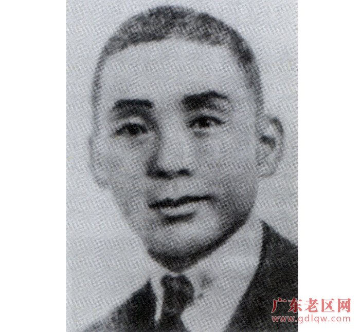 图片说明