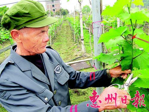 图片说明