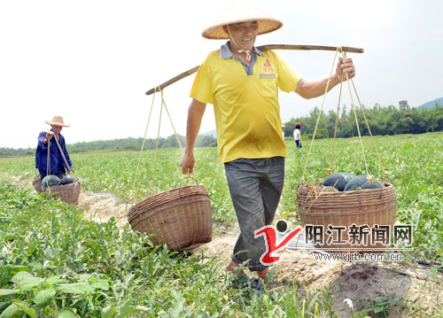 图片说明