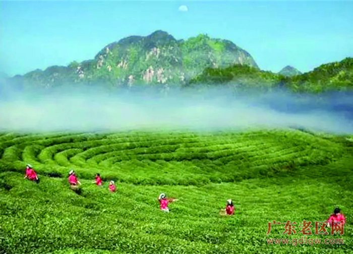 图片说明