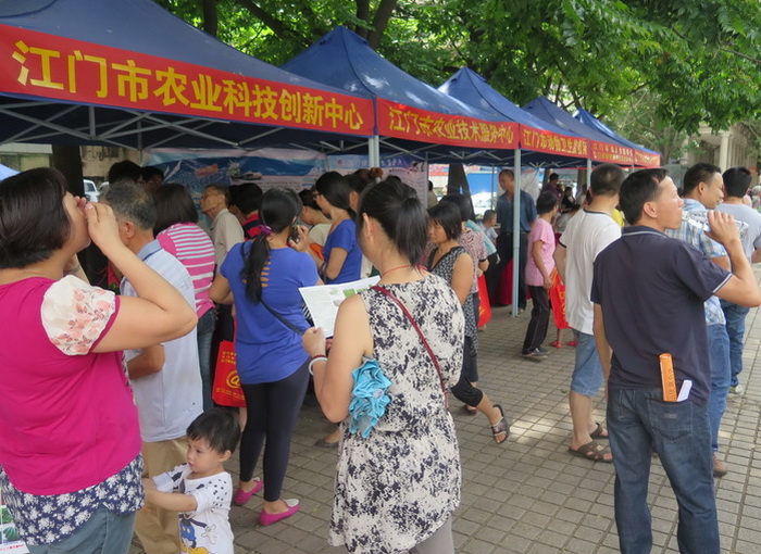图片说明