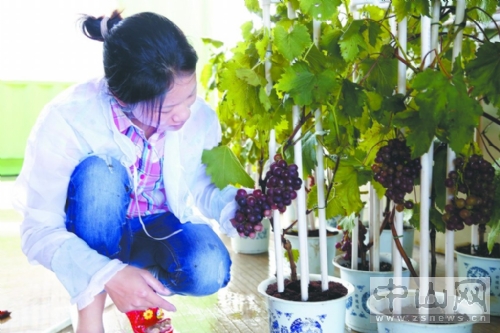 图片说明