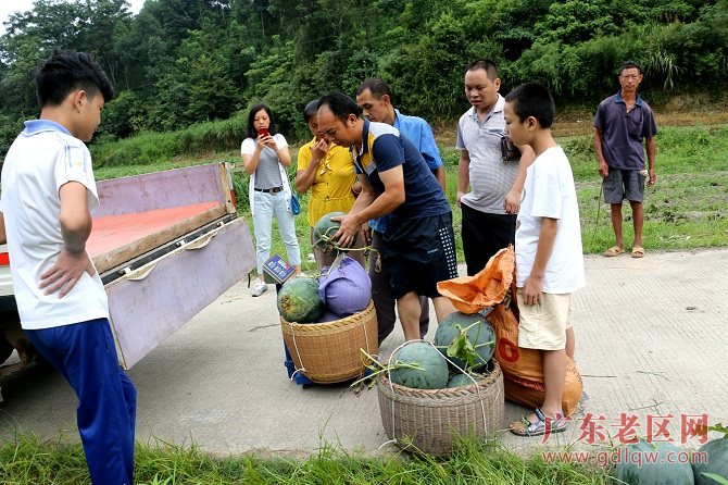 图片说明