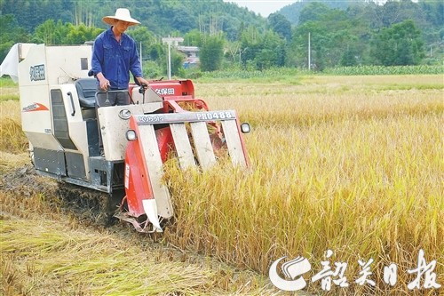 图片说明
