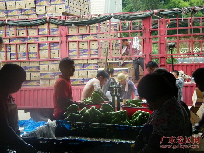 图片说明