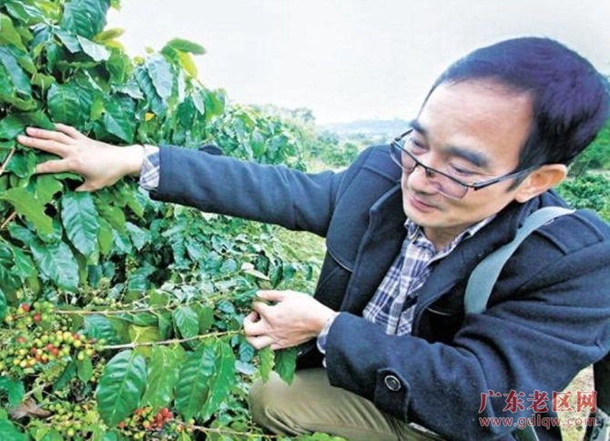图片说明