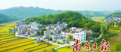 图片说明