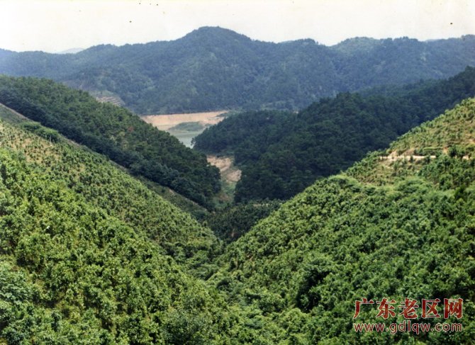 图片说明