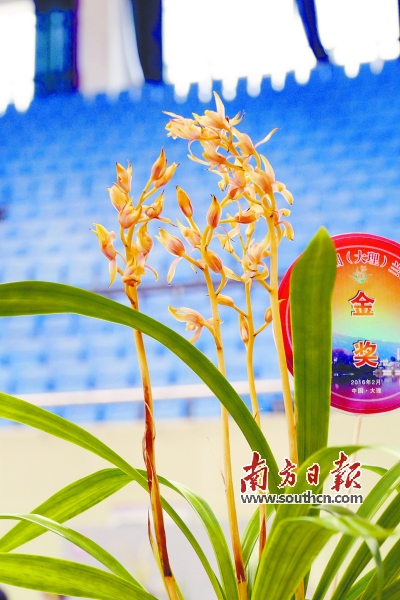 图片说明
